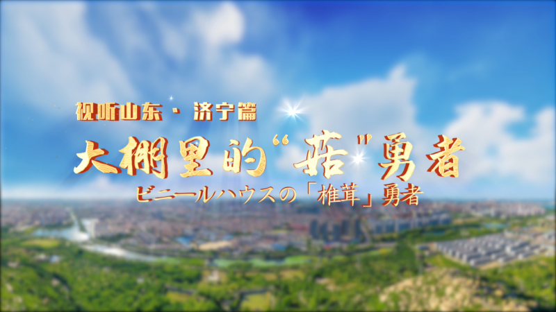 平凡不平凡|大棚里的菇勇者（中日）