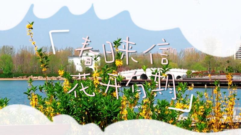 【邹视频·新闻】40秒丨春日来信 花开有期
